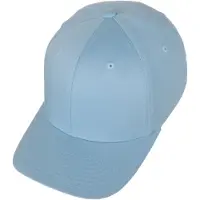 Flexfit Pet lichtblauw