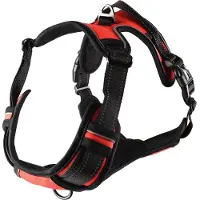 Flamingo Hondentuig Balou Rood L 60-85 cm x 25 mm