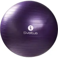 SVELTUS Gymball - Swiss Ball Parme 75 cm