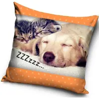 Procos 2 slapende kittens en hond - Sierkussen Kussen 40 x 40 cm inclusief vulling