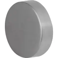 GPF bouwbeslag Excentrische knop 60x16mm tbv VH-schilden vast incl. bout M10 - RVS geborsteld