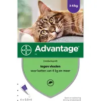 Advantage 2x Anti Vlooiendruppels 80 Kat vanaf 4 kg 4 pipetten
