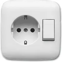 ABB Busch-Jaeger Combischakelaar Contactdoos Inbouw Wit - 2CKA001611A0169