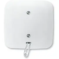 Busch-Jaeger 2610/6 UJ-214 Trekschakelaar Zuiver wit (RAL 9010), Wit 1 stuk(s)