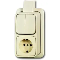 ABB Busch-Jaeger Combinatieschakelaar Contactdoos Met Montageplaat - 2CKA001641A0234