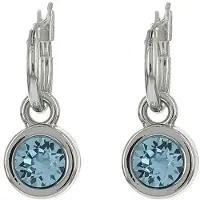 Biba Hang Oorbellen met Swarovski Steentje Aquamarine