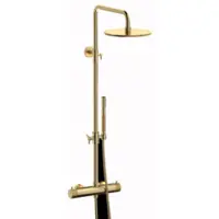 Plieger Roma opbouw regendouche 25cm geborsteld goud