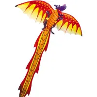 Günther 3D draken vlieger gekleurd