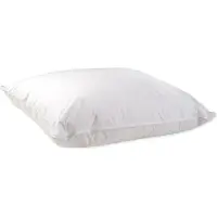 ISleep Hoofdkussen Halfdons (15% Dons en 85% Veertjes) - 60x70 cm - Wit