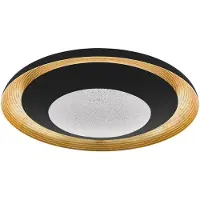 Eglo Plafondlamp CANICOSA 2 plafondlamp, goud, zwart, dimbaar, tuneable white, CCT (1 stuk)