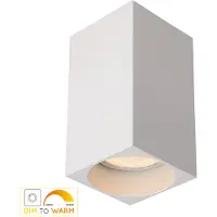 Lucide DELTO - Plafondspot - LED Dim to warm - GU10 - 1x5W 2200K/3000K - Wit