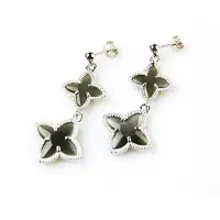 Sophie model 2 Stars oorringen in zilver donkergrijze stenen