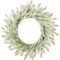 Black Box Trees Kerstkrans Brewer Wreath Green Frosted 60 cm LED