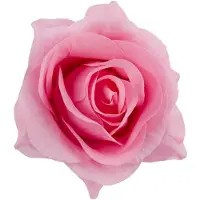 Relaxdays flowerbox - rozenbox - grijs - decoratie - kunstbloem - 1 roos in box roze