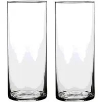 Mica Decorations 2x Ronde glazen cilinder vaas/vazen transparant 30 x 12 cm lang - Vazen