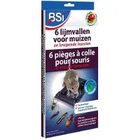 Bsi 6 Lijmvallen Voor Muizen En Kruipende Insecten