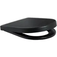Plieger Nola/Kansas Toiletbril - D-Vorm WC Bril - Duroplast - Mat Zwart - Met Deksel - Softclose - RVS bevestiging
