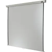 Celexon Projectiescherm Professional Plus 120 x 120, verhouding 1:1