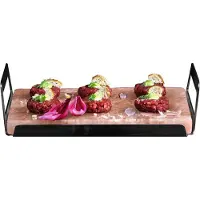 AEG A2SLT Himalaya zoutsteen 20x30cm met RVS frame