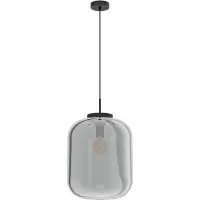 Eglo 39674 Bulciago Hanglamp Staal Zwart/Gestoomd Glas Zwart Transparant - 1 x E27
