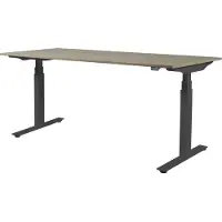 Schaffenburg Zit Sta Bureau - Plus Elek 180x80 robson - zwart frame