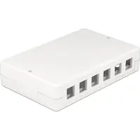 DeLOCK Uitvoerdoos | voor 6 of 12 Keystone modules | wit