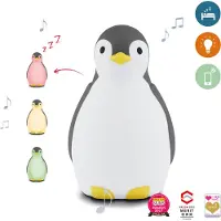 Zazu slaaptrainer nachtlamp met muziek Pam