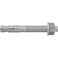 Fischer 40943 FBN II 10/100 Boutanker 176 mm 10 mm 20 stuk(s)