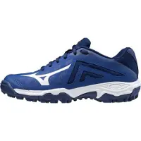 Mizuno Wave Lynx Kids Hockeyschoenen Jongens - Hockeyschoenen Blauw 38,5