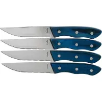 Amefa Hercule 4 delige steakmessenset blauw