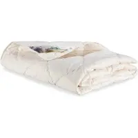 Texeler Zomerdekbed Multikeus 200 Gram Texeler