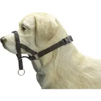 Beeztees Dog Control - Halsband Hond - Zwart - S