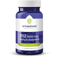 Vitakruid 2x B12 5000 mcg methylcobalamine (60 smelttabletten)