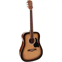 Richwood Akoestische gitaar Artist Series Dreadnought RD-12-SB