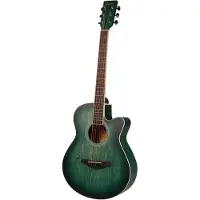 Fazley W55-COL-G ColourTune western gitaar groen
