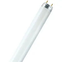 Osram HOMELIGHTING TL-lamp Energielabel: G (A - G) G13 30 W Koudwit 840 Buis (Ø x l) 26 mm x 908.8 mm 1 stuk(s)