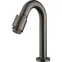 Wiesbaden Fonteinkraan Victoria Luxe 1/2'' Gunmetal