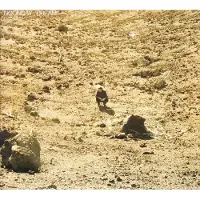 Universal Music Ben Howard - NOONDAY DREAM | CD