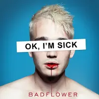Universal Music Ok I M Sick/Lp