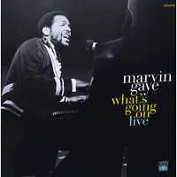 Universal Music Marvin Gaye - WHATS GOING ON | LP