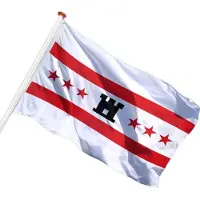 Talamex Drentse vlag