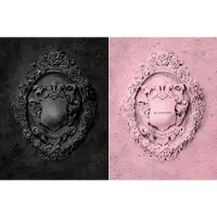 Bertus Distributie BlackPink - KILL THIS LOVE 2ND MINI | CD