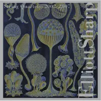 Import String quartet 2
