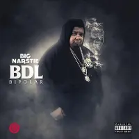 Import Bdl bipolar