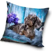 Carbotex Hond - Sierkussen Kussen 40 x 40 cm inclusief vulling