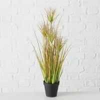 Boltze Plant in pot - Glanshaver - 60cm - Groen - Kunststof -