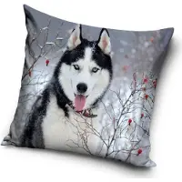 Carbotex Husky in de sneeuw - Sierkussen Kussen 40 x 40 cm inclusief vulling