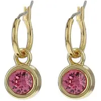 Biba 80313 Oorhangers goud Roze