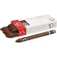 Caran d'Ache waskrijt Neocolor II bruin 10 stuks