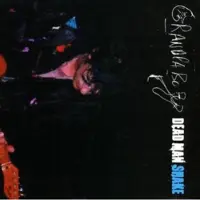 Fat Possum DEAD MAN SHAKE